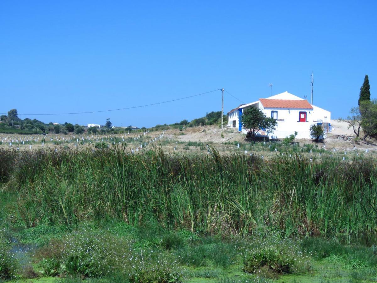 Вілла Vale Do Boto-Quinta Com 3 Casas Каштру-Марін Екстер'єр фото