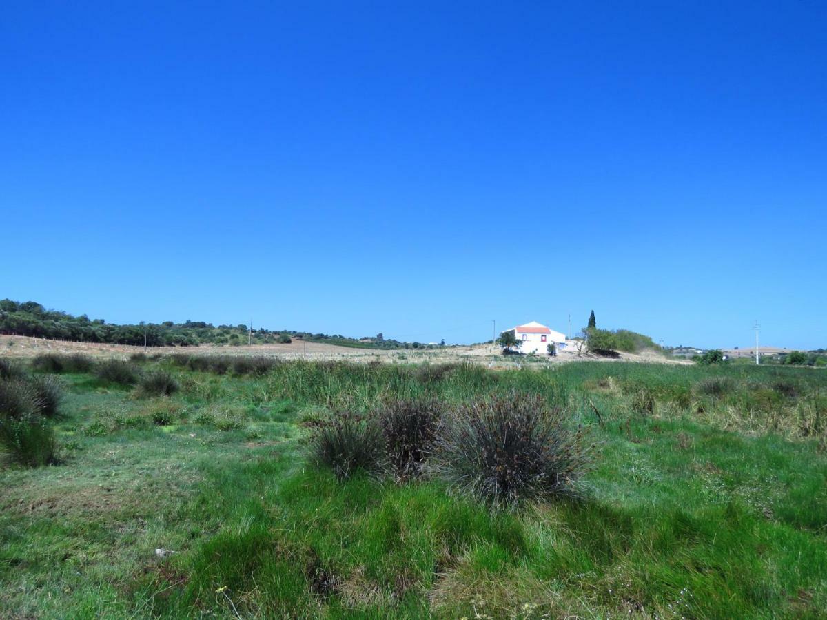Вілла Vale Do Boto-Quinta Com 3 Casas Каштру-Марін Екстер'єр фото